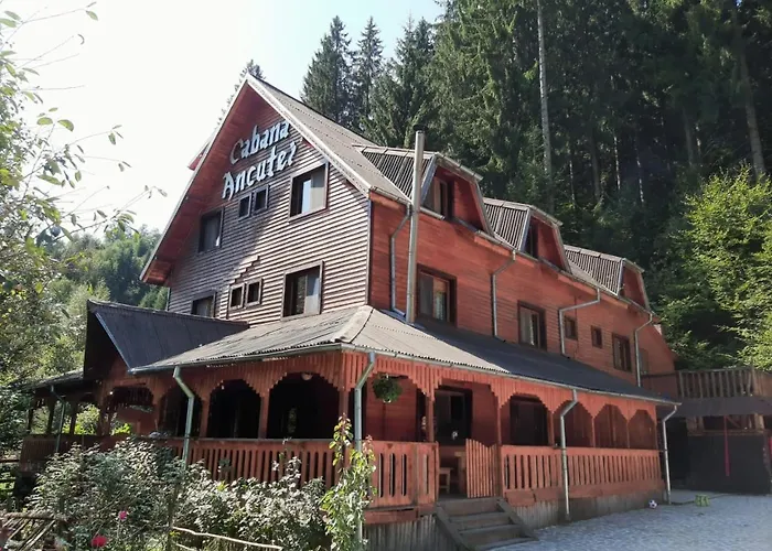Cabana Ancutei Rucăr